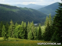 Синевирська Поляна: я їду в Карпати! Синевирська Поляна: я їду в Карпати!
