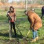 Острівок поповнився новими деревами