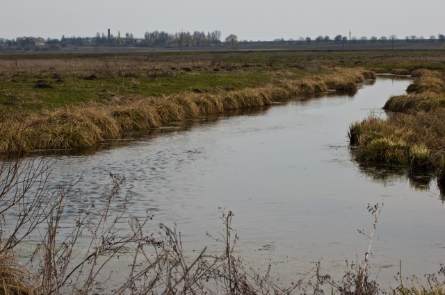 БЕЗВІСТИ ЗНИКЛУ ДУБЕНЧАНКУ ЗНАЙШЛИ МЕРТВОЮ У ВОДОЙМІ