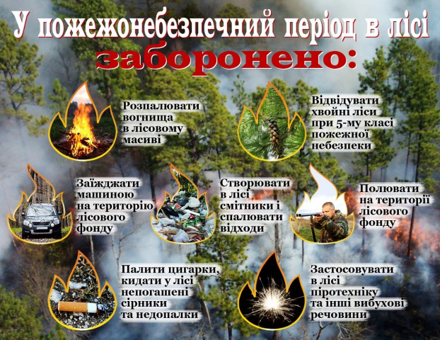 Необережне поводження з вогнем є причиною масштабних пожеж в екосистемах!