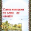 Сьогодні у Хрінниках розпочинається дитячий фестиваль