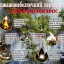 Необережне поводження з вогнем є причиною масштабних пожеж в екосистемах!
