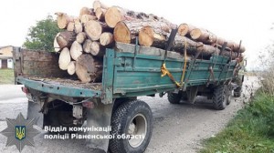 Вантажівка незаконно перевозила 15 кубів лісопродукції
