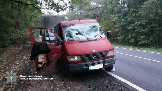 Автомобіль громадянина Молдови наїхав на повалене дерево