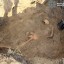 На Дубенщині знайшли рештки загиблого солдата