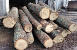 На Дубенщині вчергове вилучили незаконну лісопродукцію