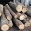 На Дубенщині вчергове вилучили незаконну лісопродукцію