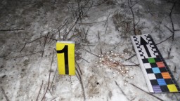 У Різдвяну ніч студентка потрапила від колеса авто