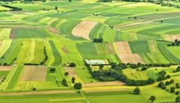 Новий перелік земельних ділянок для учасників АТО на Дубенщині