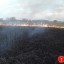 У Дубні горіли очерет та чагарники