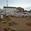 У центрі Дубна висадили магнолію