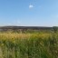 Палія притягнуть до адміністративної відповідальності