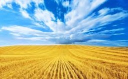 Сьогодні - День Державного Прапора України