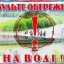 В Ікві біля «Козацького ринку» потонув дубенчанин