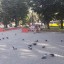 У центрі Дубна лавка із "сюрпризом" 3 У центрі Дубна лавка із "сюрпризом" 3