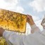 Пасічників Дубенщини запрошують на конференцію