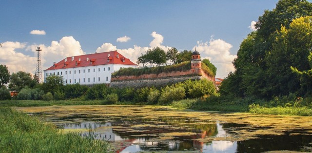 На Дубенщині хочуть реставрувати Палац князів Любомирських, Надбрамний корпус та Луцьку браму