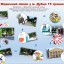Дубенський медколедж запрошує на пікнік