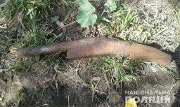 У двох мешканців Дубна вилучили 16 патронів різного калібру та металевий ніж