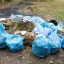 Безробітні залучаються до акції "За чисте довкілля"