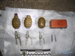 Поліцейські виїхали на сімейну сварку, а виявили арсенал боєприпасів