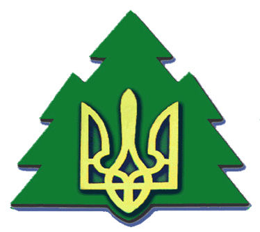 Із завтрашнього дня проводитимуться заходи щодо сертифікації лісів