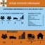 Минулого тижня на Рівненщині сталося 22 пожежі