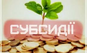 Прийшла субсидія. Як сплачувати свій обов’язковий платіж?