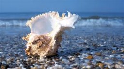 Сьогодні - Всесвітній день моря