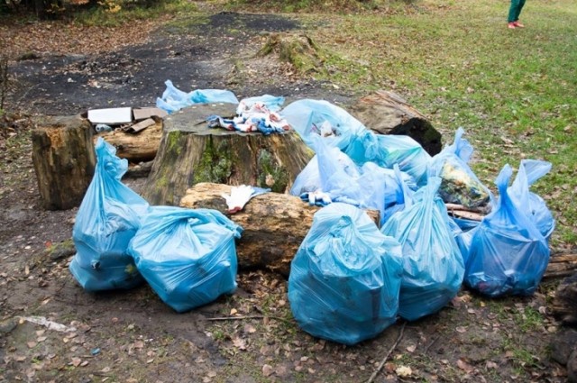 Безробітні залучаються до акції "За чисте довкілля"