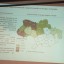 Забудовники ТЕЦ пояснили, чому їхня презентована карта - без Криму