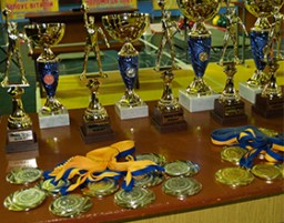 Гирьовики Дубенщини повернулися з перемогами з чемпіонату України