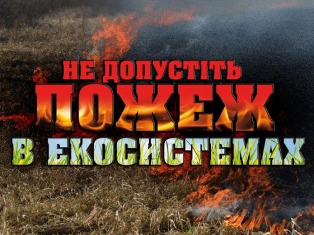 Рятувальники закликають громадян не провокувати пожежі у природних екосистемах