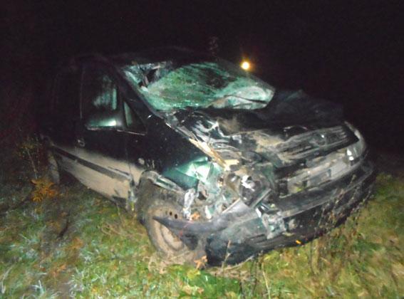 На Млинівщині водій авто збив гужову підводу