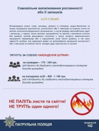 За спалювання листя та сміття передбачений штраф
