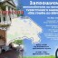 На Млинівщині презентують туристичний веломаршрут «Від графа до вівчаря»