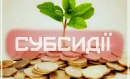 Прийшла субсидія. Як сплачувати свій обов’язковий платіж?