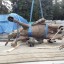 Скандальний пам'ятник вже у Дубні