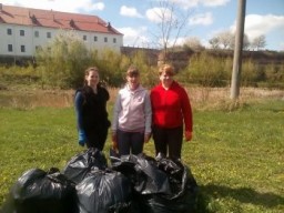 У Дубні організували День благоустрою