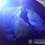 На Дубенщині внаслідок ДТП загинув пішохід