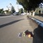 На "зебрі" збили пішохода