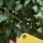 Замовляй найкращі iPhone XR 64GB, як новий за 11400 ГРН за номером 0800602250 або на сайті ICOOLA. 2 Замовляй найкращі iPhone XR 64GB, як новий за 11400 ГРН за номером 0800602250 або на сайті ICOOLA. 2