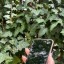 Замовляй найкращі iPhone XR 64GB, як новий за 11400 ГРН за номером 0800602250 або на сайті ICOOLA. 1 Замовляй найкращі iPhone XR 64GB, як новий за 11400 ГРН за номером 0800602250 або на сайті ICOOLA. 1