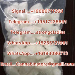 Etomidate powder, Metomidate powder,Propoxate powder,Isopropoxate