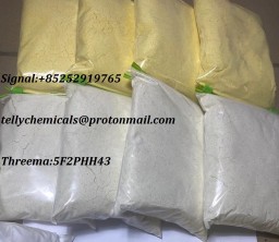 Buy High yield rate cas 28578-16-7 New P powder / pmk powder / pmk oil in holland , 70% yield rate w