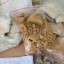 Buy 5cladba 5C precursor/Buy 6cladba raw material/Buy K2 paper spray liquid, JWH-018,ADB-BUTINACA/sy