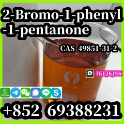 Китайський виробник 2-бромо-1-феніл-1-пентанон Cas 49851-31-2 найкраща якість безпечної доставки
