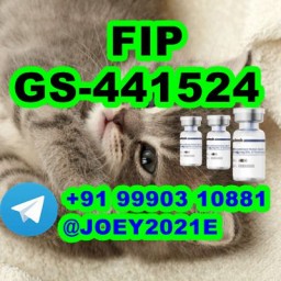 GS-441524 FIP  Feline Infectious Peritonitis