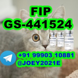 GS-441524 FIP Feline Infectious Peritonitis GS-441524 FIP Feline Infectious Peritonitis